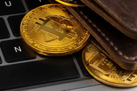 Portfele kryptowalut: Który wybrać? Bezpieczne przechowywanie krypto