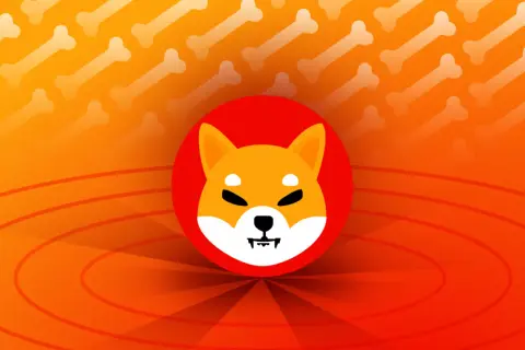 Shiba Inu kryptowaluta: dlaczego warto inwestować i co musisz wiedzieć