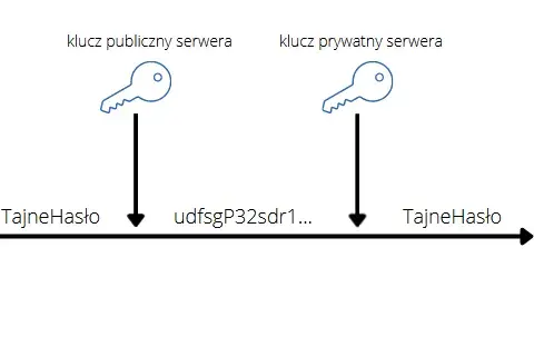 Kryptografia klucza publicznego: jak zabezpieczyć swoje dane?