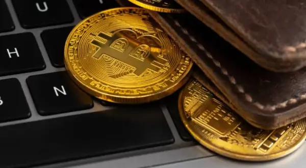 Portfele kryptowalut: Który wybrać? Bezpieczne przechowywanie krypto