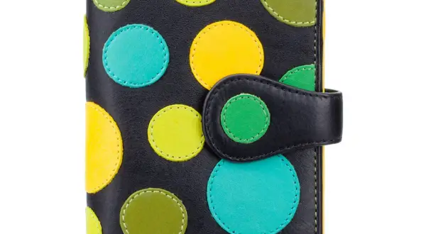 Najlepsze portfele Polkadot: jak wybrać bezpieczny i wygodny portfel dla DOT