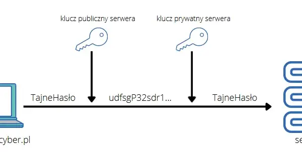 Kryptografia klucza publicznego: jak zabezpieczyć swoje dane?