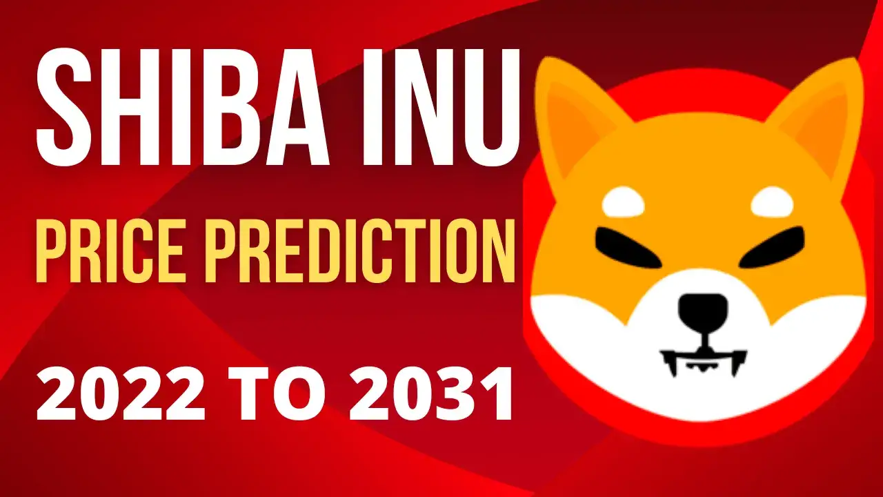 Zdjęcie Prognoza shiba inu coin: co czeka inwestorów w przyszłości?